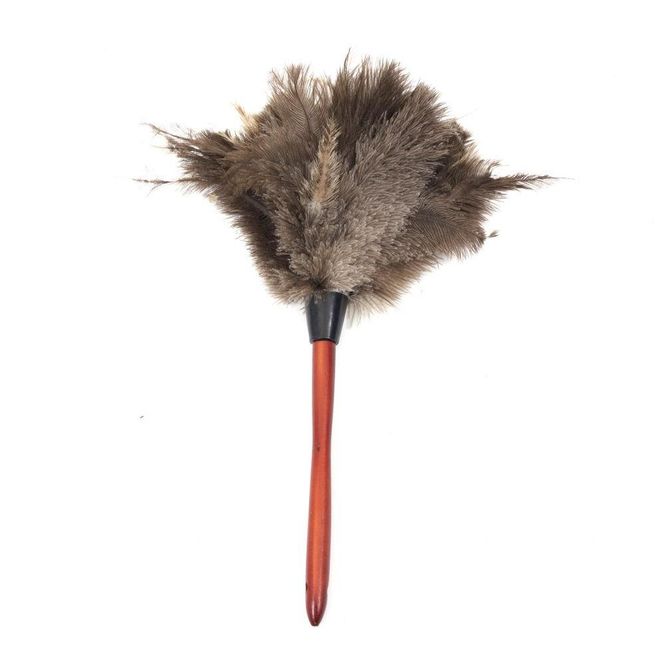 Hovedbilde Støvkost av fjær